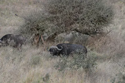 DSC_3727 (Large).JPG